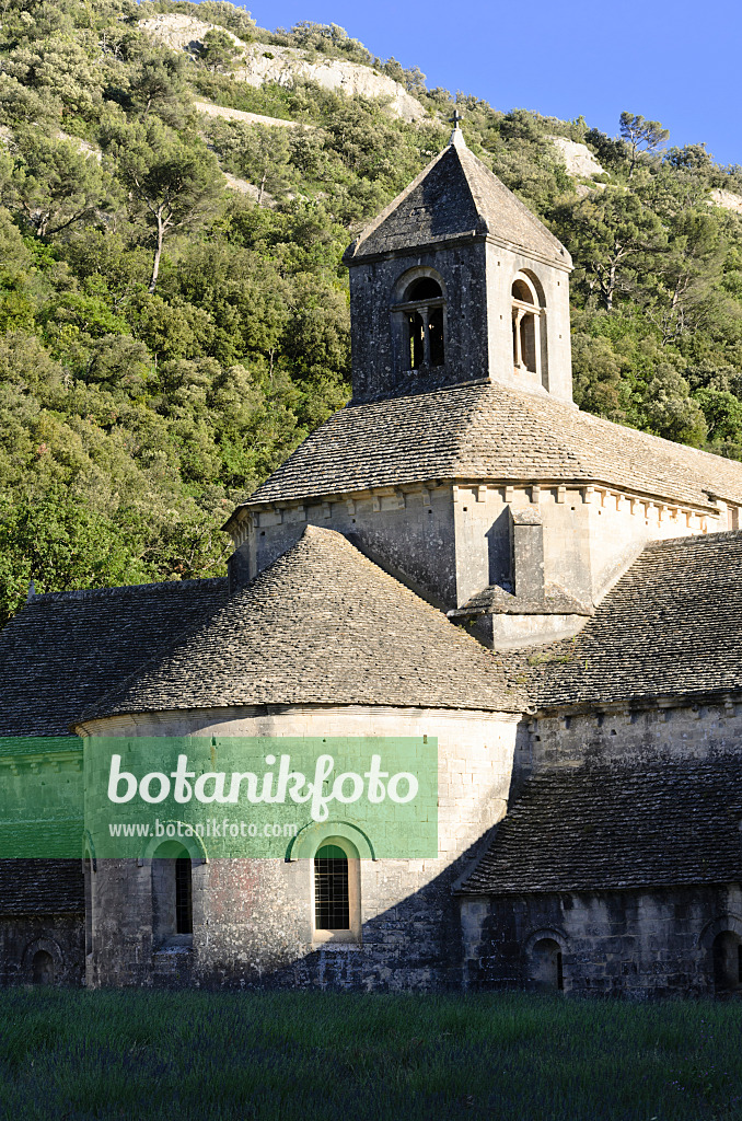 557191 - Abbaye Notre-Dame de Senanque, Provence, Frankreich