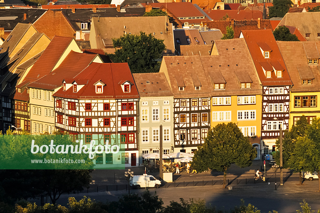 381063 - Abendliche Sonne auf Fachwerkhäuser der Altstadt, Erfurt, Deutschland