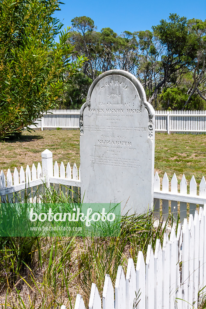 455238 - Alter Grabstein, Nationalpark Point Nepean, Australien