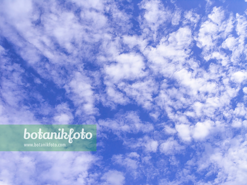 451058 - Altocumulus-Wolken vor einem tiefblauen Himmel