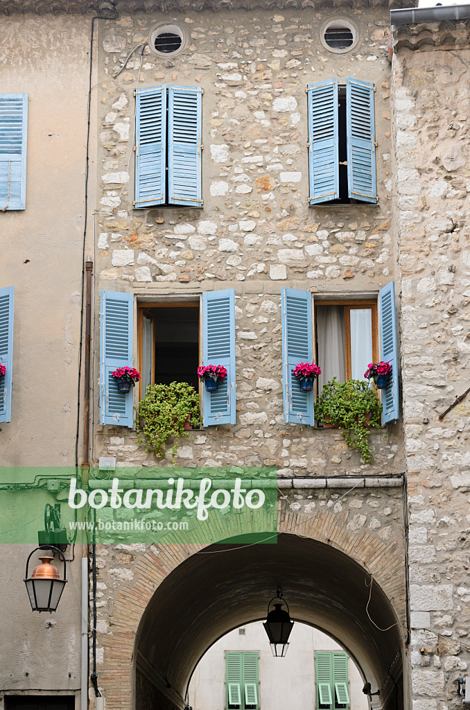 569084 - Altstadthaus mit Blumentöpfen, Vence, Frankreich