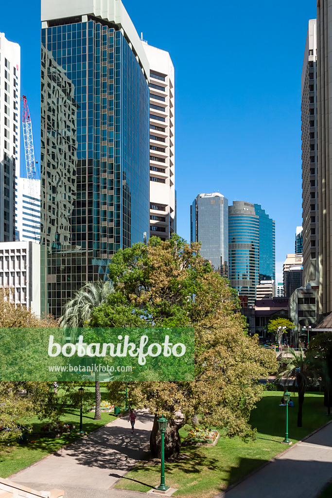 455034 - Anzac Square, Brisbane, Australien