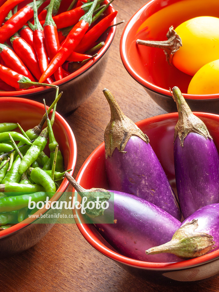 436037 - Aubergine (Solanum melongena) und Chili (Capsicum)