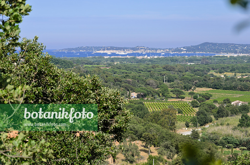 569044 - Ausblick auf den Golf von Saint-Tropez, Frankreich