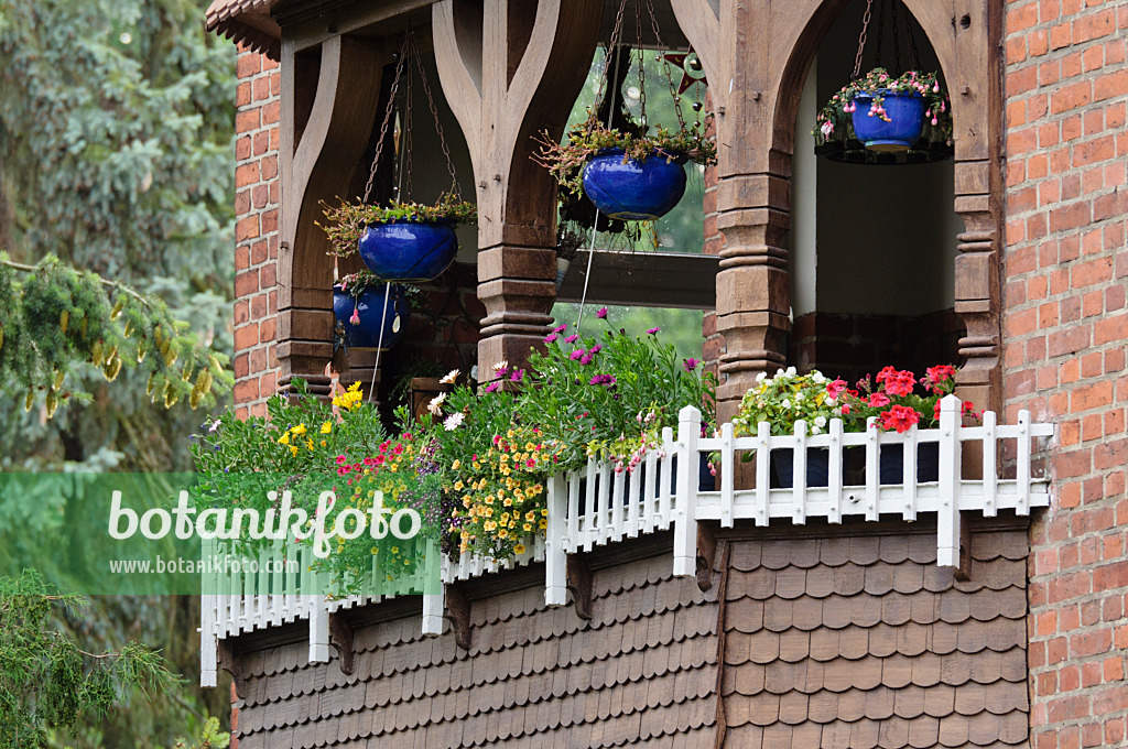 475022 - Balkon mit Sommerblumen