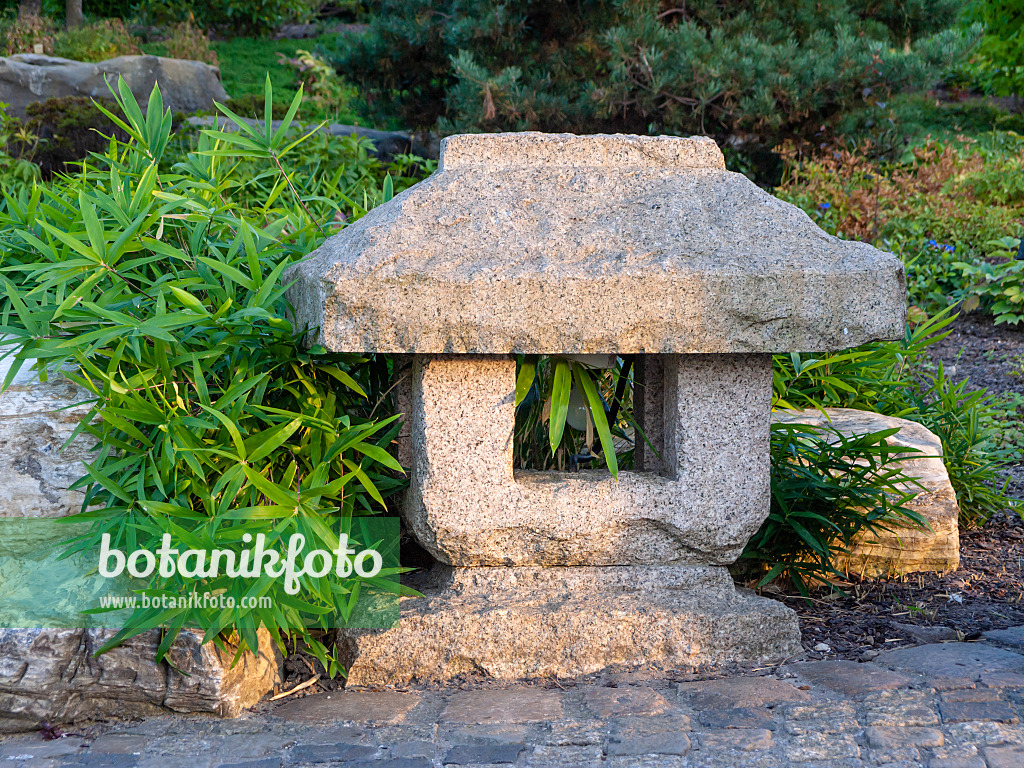 429054 - Bambus in einem asiatischen Garten mit einer Laterne aus behauenem Stein