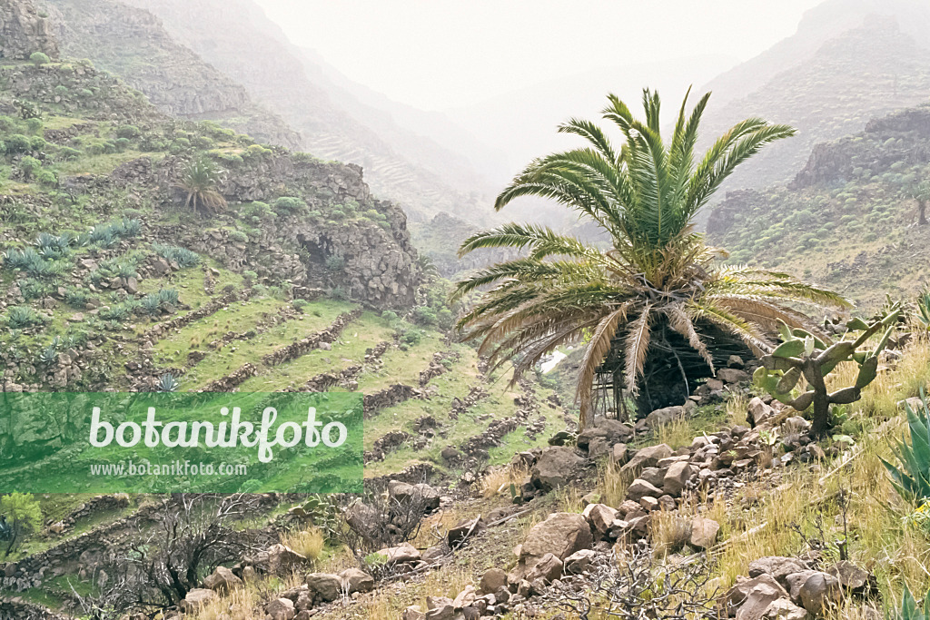 362032 - Barranco de Argaga, La Gomera, Spanien