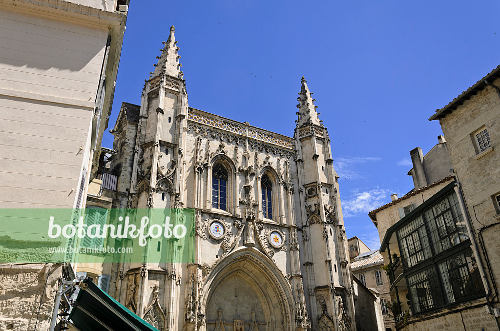 557214 - Basilique Saint-Pierre, Avignon, Provence, Frankreich