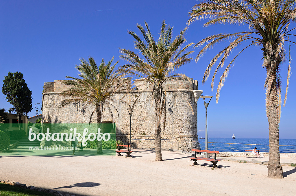 569027 - Bastion Saint-André, Antibes, Frankreich