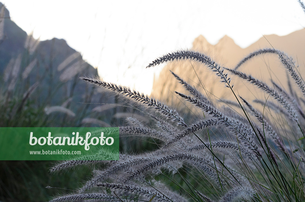 564093 - Berglandschaft im Abendlicht, Gran Canaria, Spanien