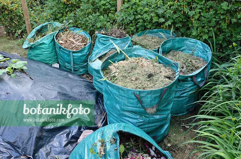 534040 - Blaue Tragesäcke mit Gartenabfällen, daneben Hochbeet mit Folie als Winterschutz