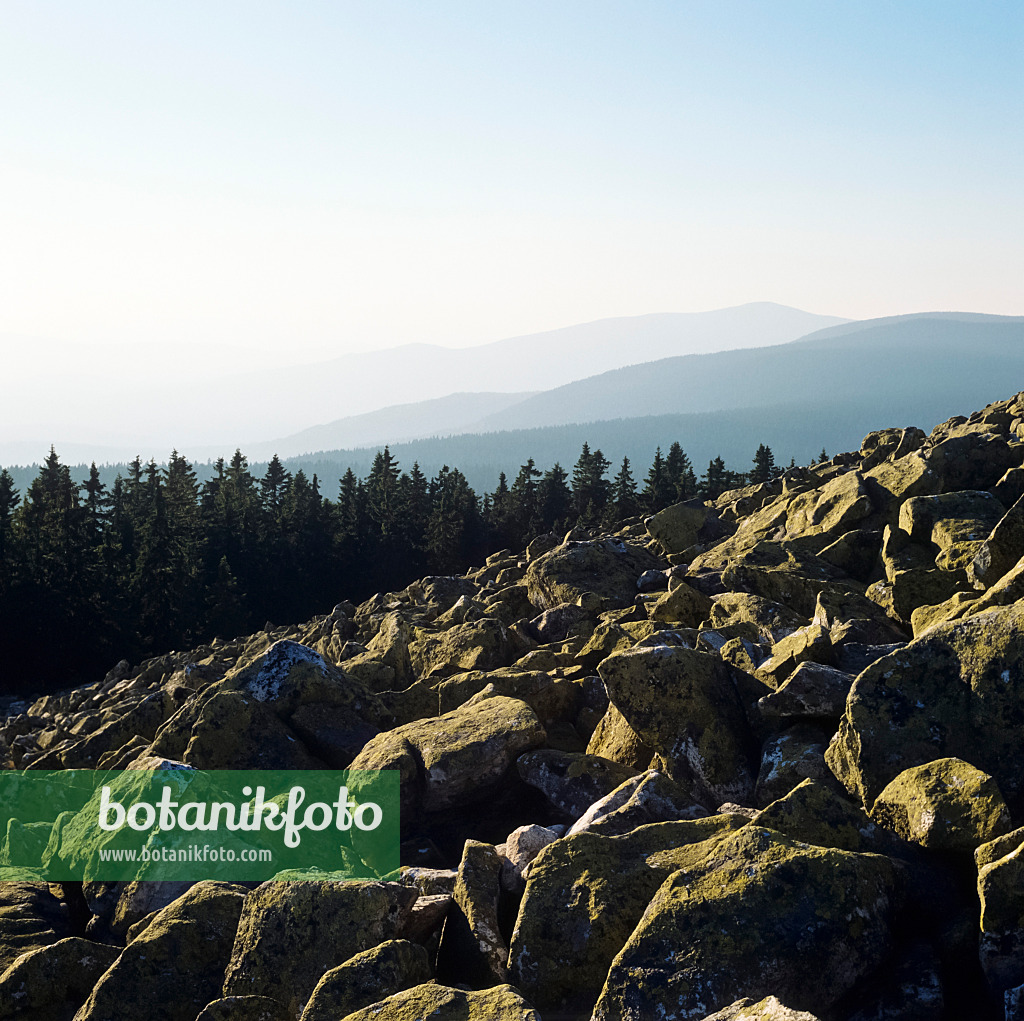 238003 - Blockmeer auf dem Lusen, Nationalpark Bayerischer Wald, Deutschland