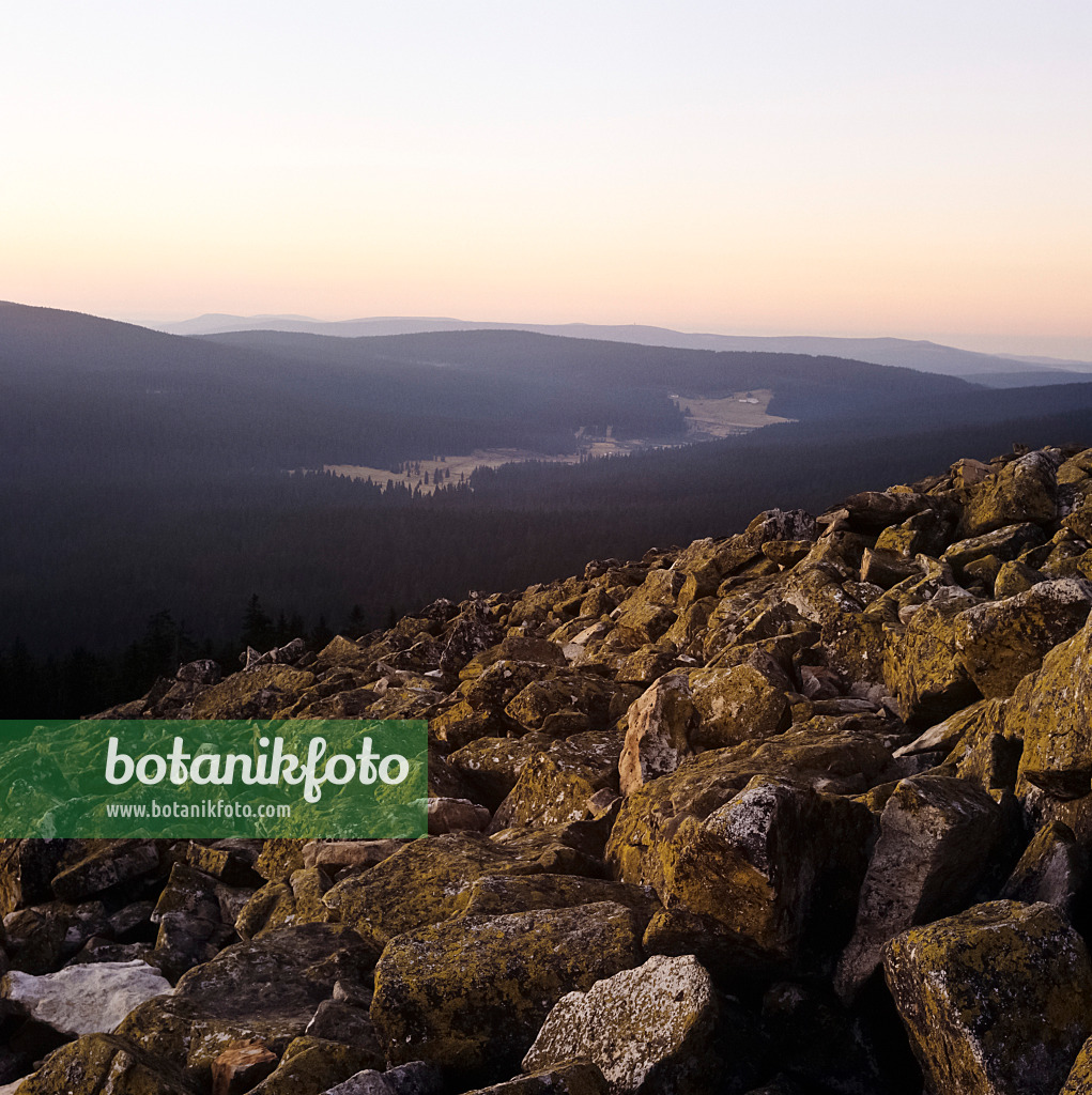 238004 - Blockmeer auf dem Lusen, Nationalpark Bayerischer Wald, Deutschland