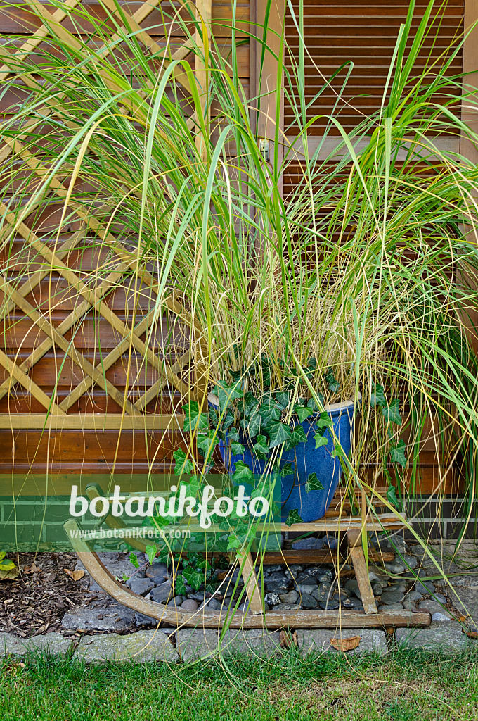 477018 - Blumenkübel mit Gras und Efeu auf einem Schlitten 477018 - Blumenkübel mit Gras und Efeu auf einem Schlitten
