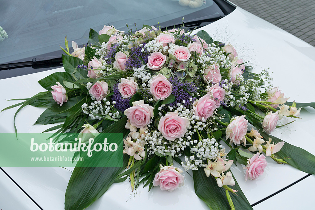 559023 - Blumenstrauß mit Rosen (Rosa) und Schleierkraut (Gypsophila)