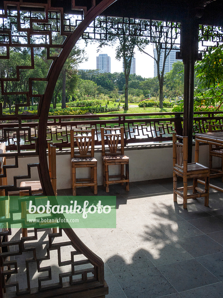 411198 - Bonsaigarten, Singapur 411198 - Bonsaigarten, Singapur