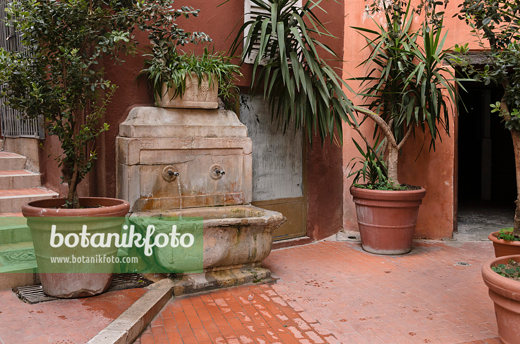 569024 - Brunnen und Blumenkübel in der Altstadt, Cannes, Frankreich