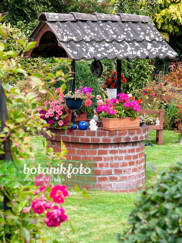 477125 - Brunnen mit Petunien (Petunia) und Pelargonien (Pelargonium)