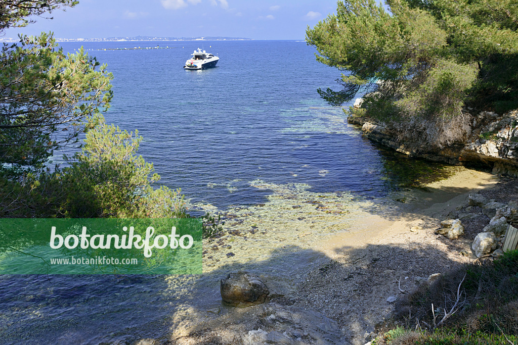 569103 - Bucht mit Felsen, Île Sainte-Marguerite, Frankreich