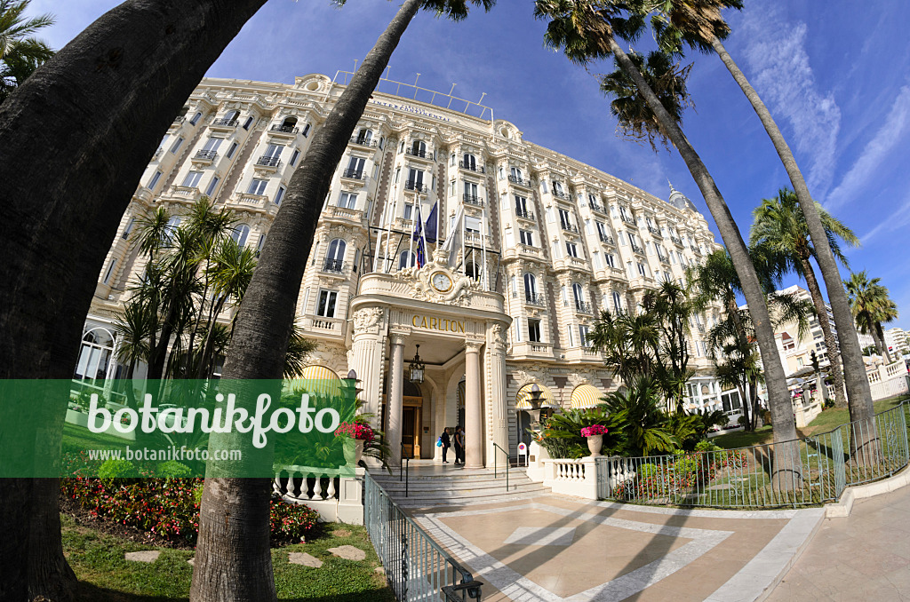 569005 - Carlton Hotel, Cannes, Frankreich