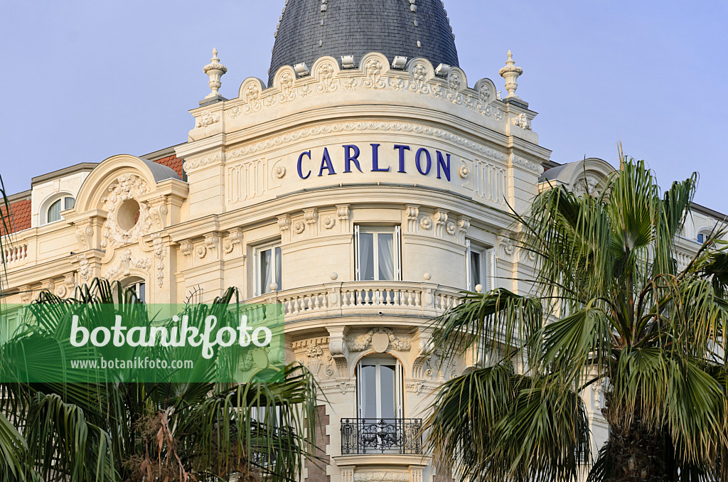 569019 - Carlton Hotel, Cannes, Frankreich