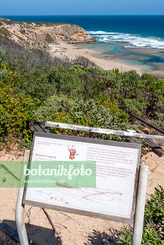 455256 - Cheviot Beach, Nationalpark Point Nepean, Australien