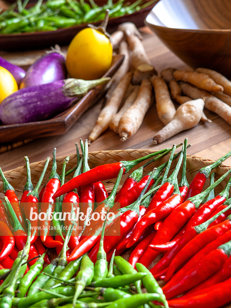 436022 - Chili (Capsicum) und Aubergine (Solanum melongena)