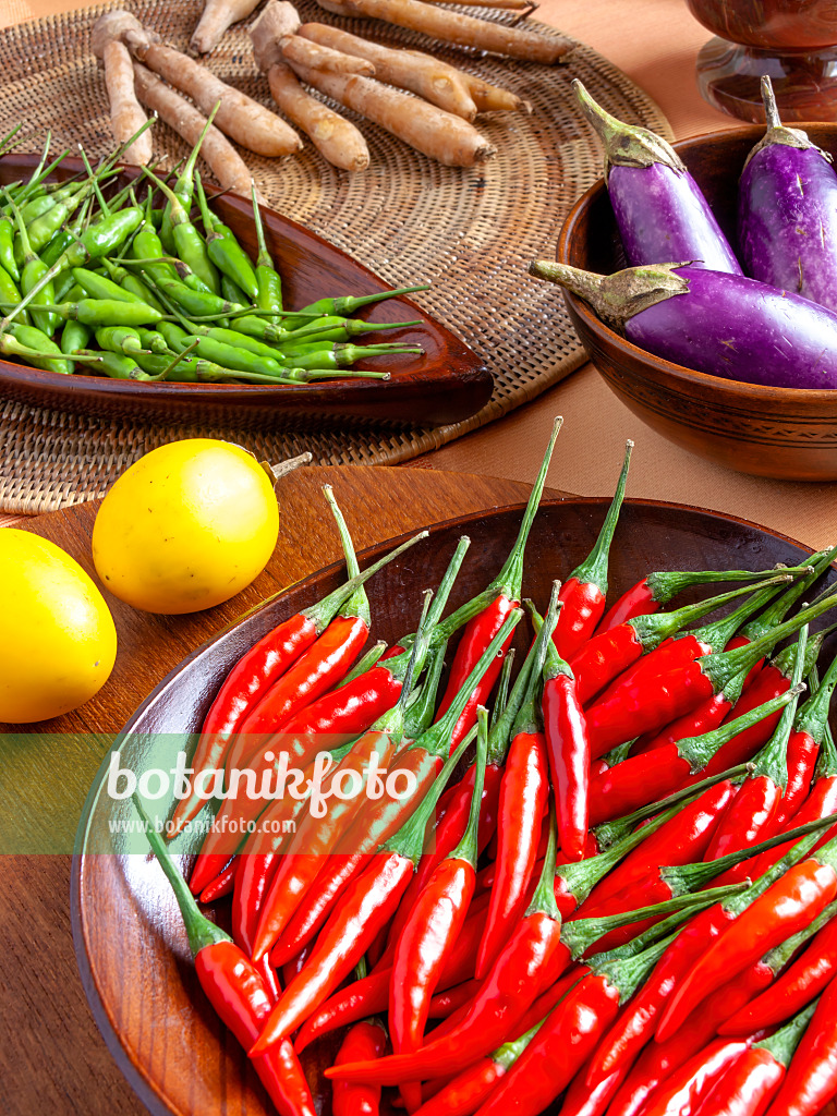 436027 - Chili (Capsicum) und Aubergine (Solanum melongena)