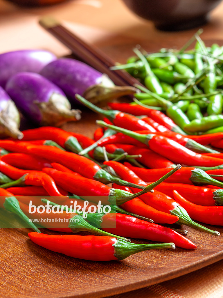 436034 - Chili (Capsicum) und Aubergine (Solanum melongena)