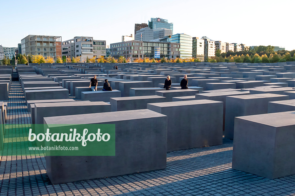 452226 - Denkmal für die ermordeten Juden Europas, Berlin, Deutschland