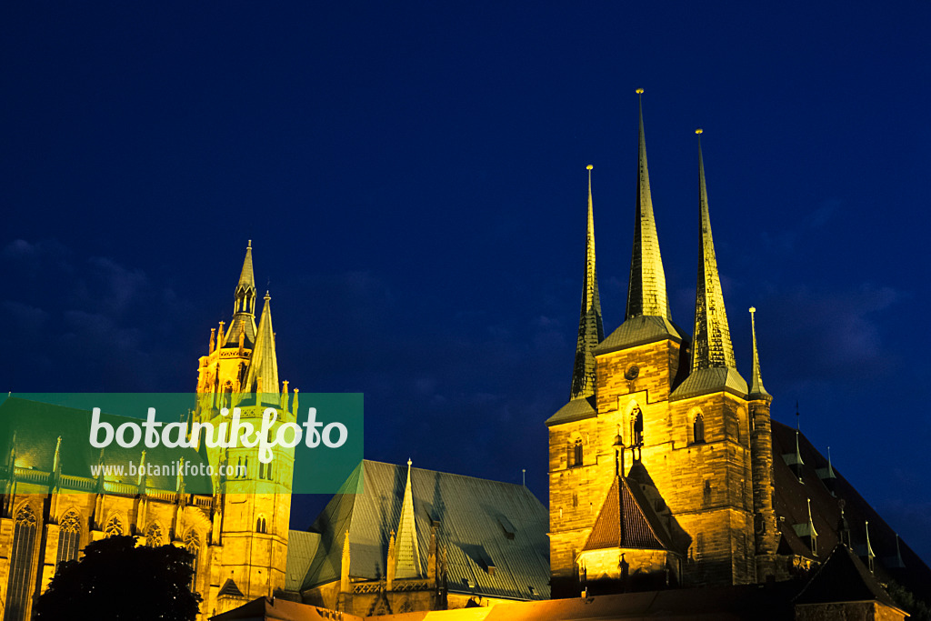 381071 - Dom und Severikirche, Erfurt, Deutschland