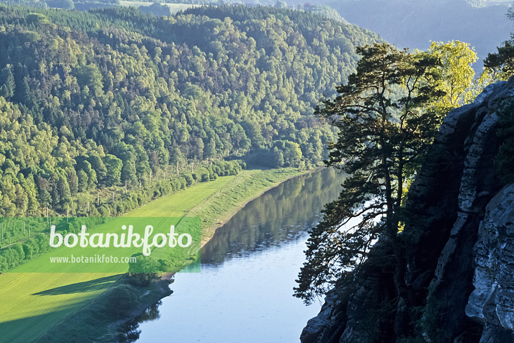 365059 - Elbe und Elbsandsteingebirge, Nationalpark Sächsische Schweiz, Deutschland