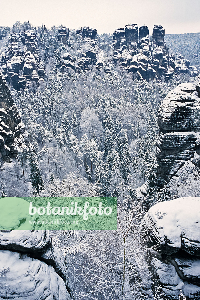 375053 - Elbsandsteingebirge, Nationalpark Sächsische Schweiz, Deutschland