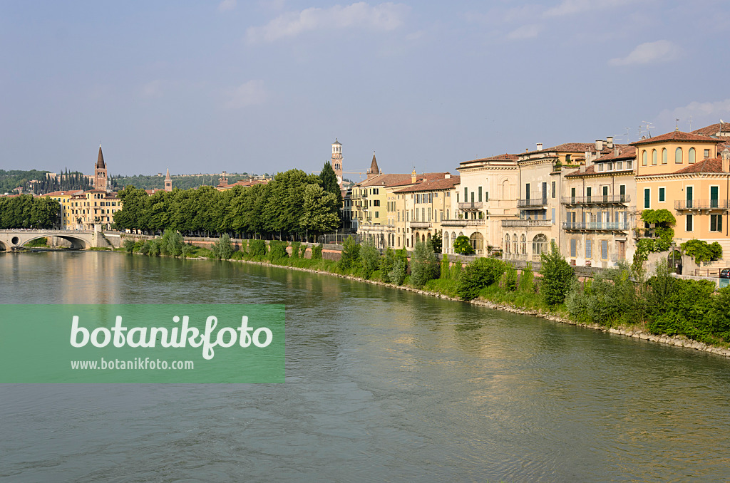 568050 - Etsch und Ponte della Vittoria, Verona, Italien