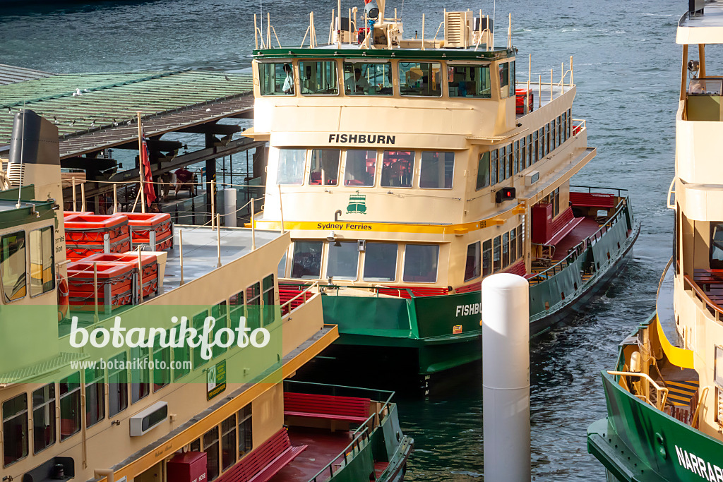 455346 - Fähren am Circular Quay, Sydney, Australien