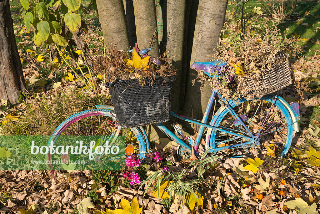 607243 - Fahrrad in einem herbstlichen Garten