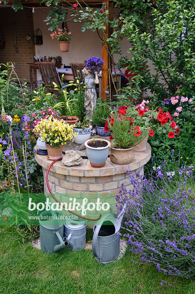 473240 - Fuchsie (Fuchsia), Elfenspiegel (Nemesia), Petunie (Petunia), Lobelie (Lobelia) und Lavendel (Lavandula) in einem Hofgarten