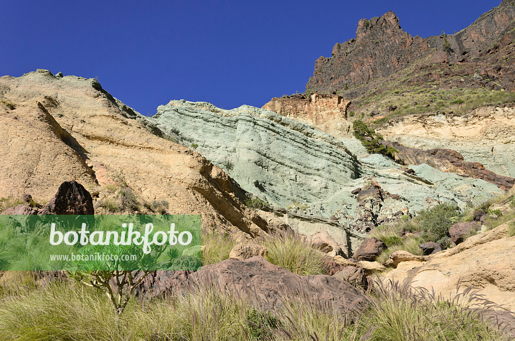 564082 - Fuente de los Azulejos, Gran Canaria, Spanien