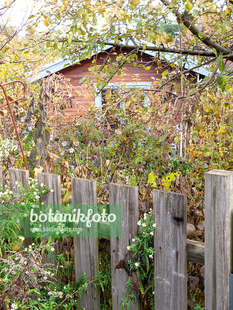 478052 - Gartenlaube in einem herbstlichen Naturgarten