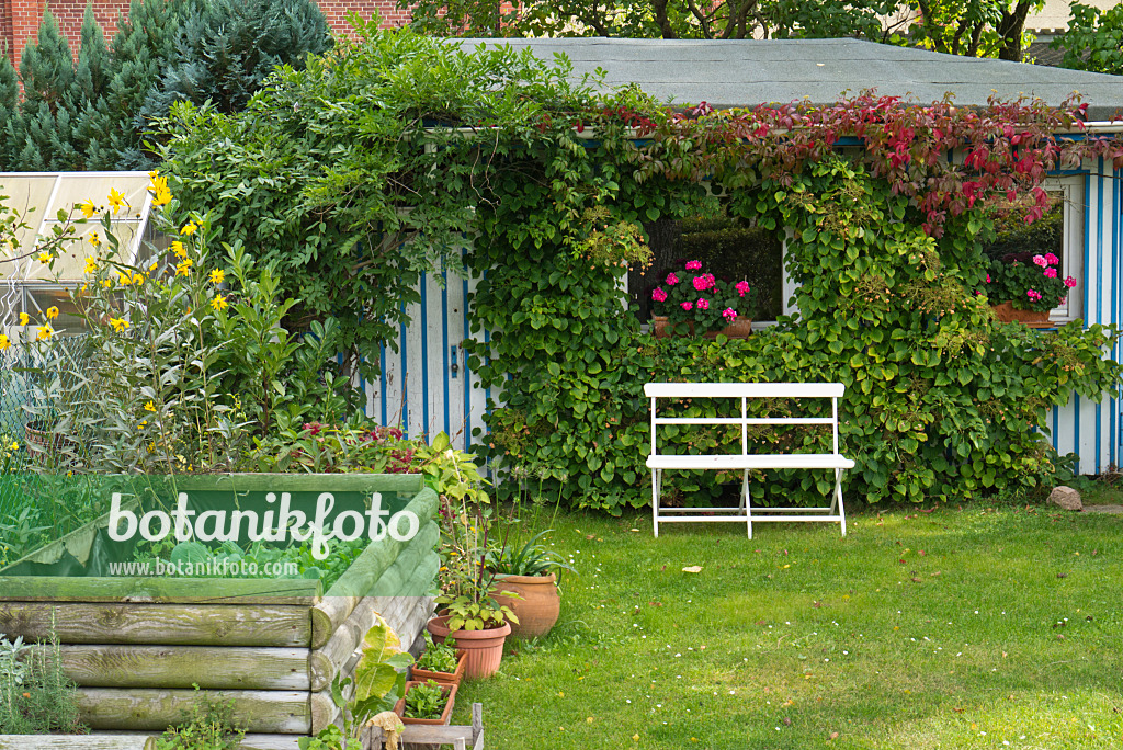 536208 - Gartenlaube mit Sitzbank und Hochbeet