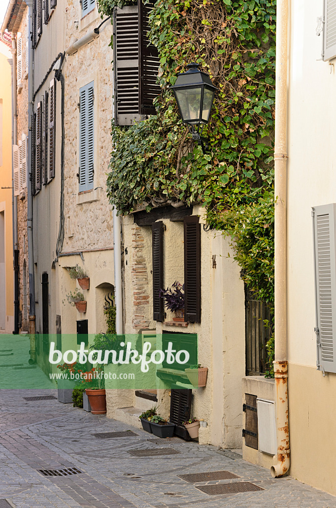 569034 - Gasse in der Altstadt, Antibes, Frankreich