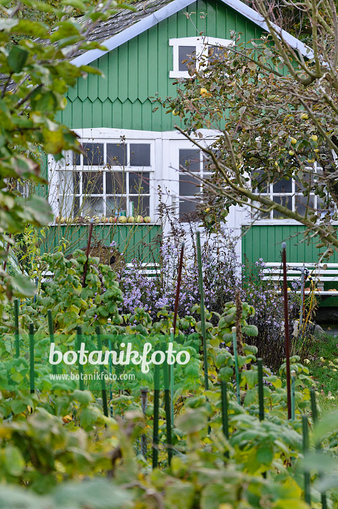 477174 - Grüne Gartenlaube in einem Kleingarten