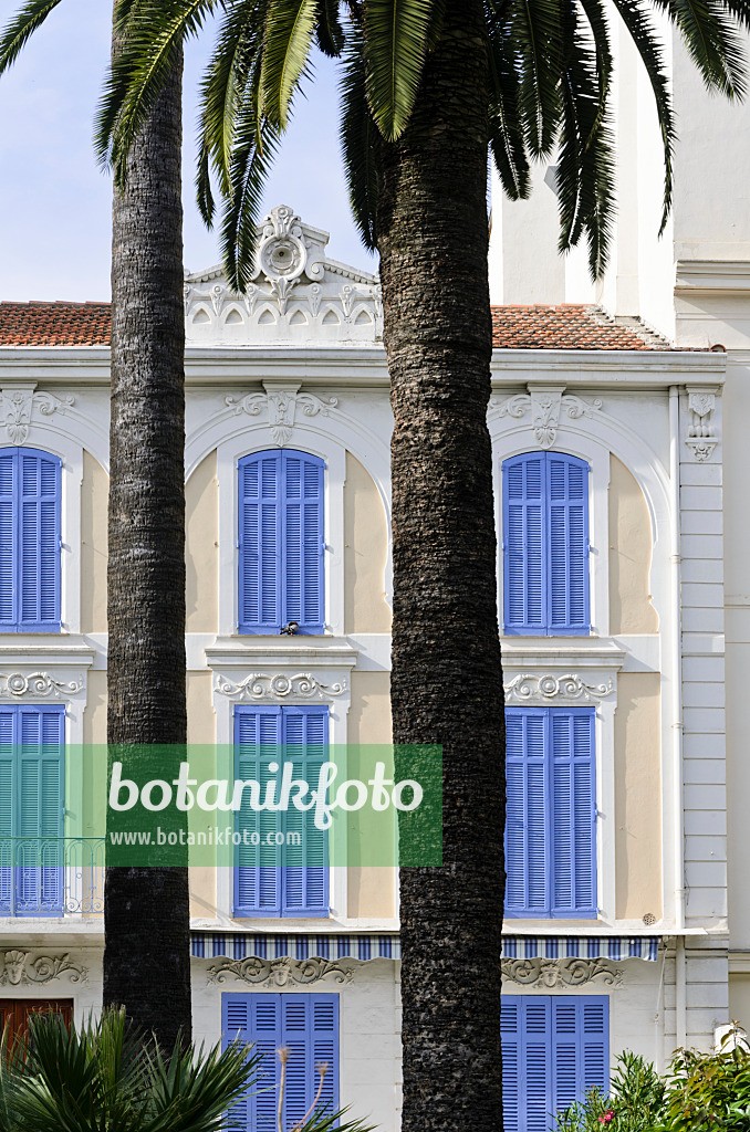 569009 - Haus mit blauen Fensterläden, Cannes, Frankreich