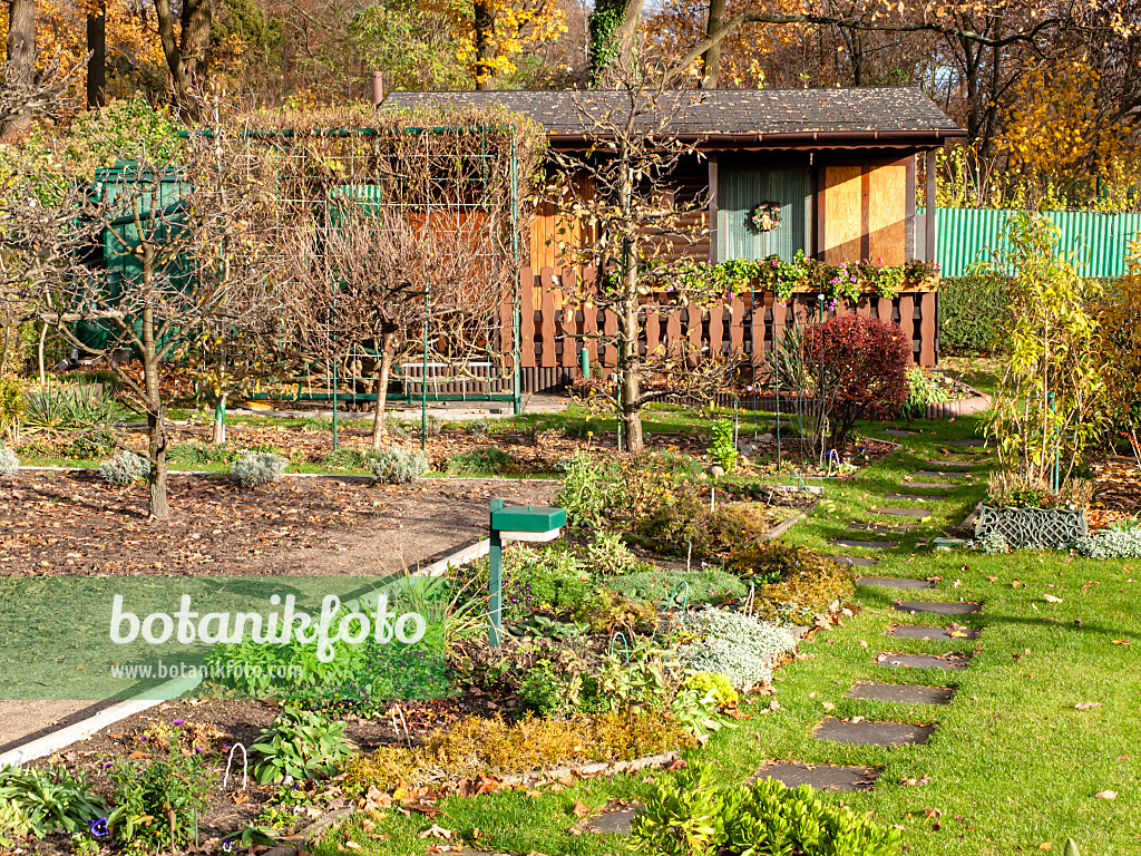 478077 - Herbstlicher Kleingarten