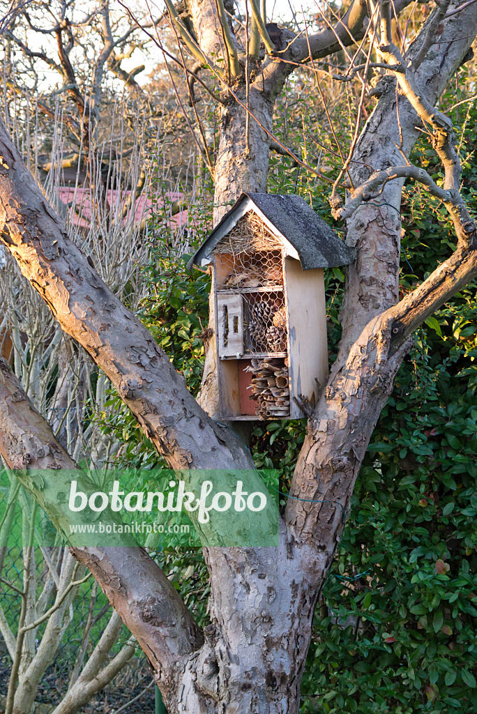 576032 - Insektenhotel in einem Baum