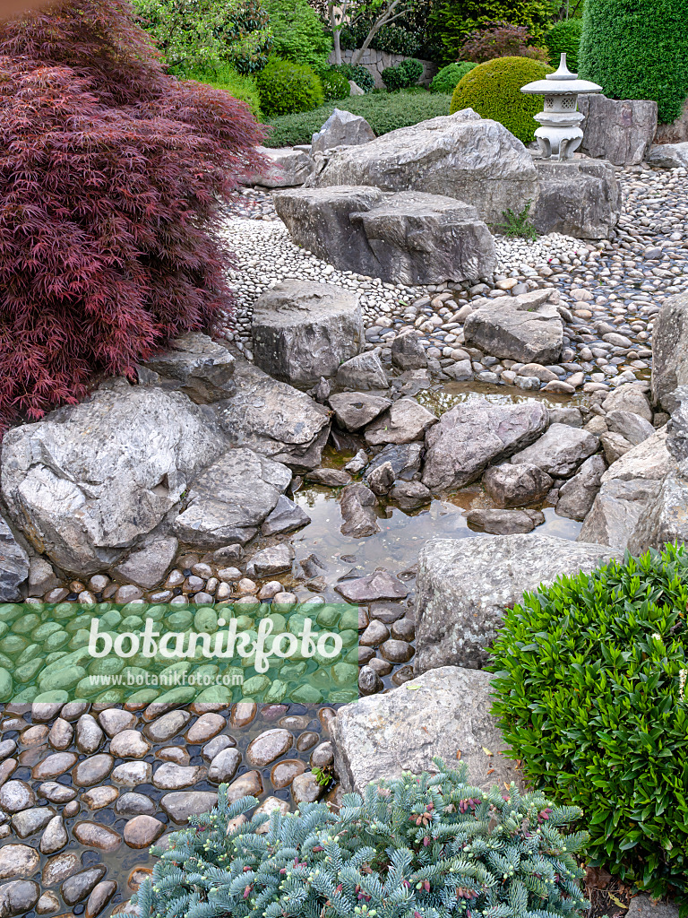 437312 - Japanischer Garten, Freiburg im Breisgau, Deutschland