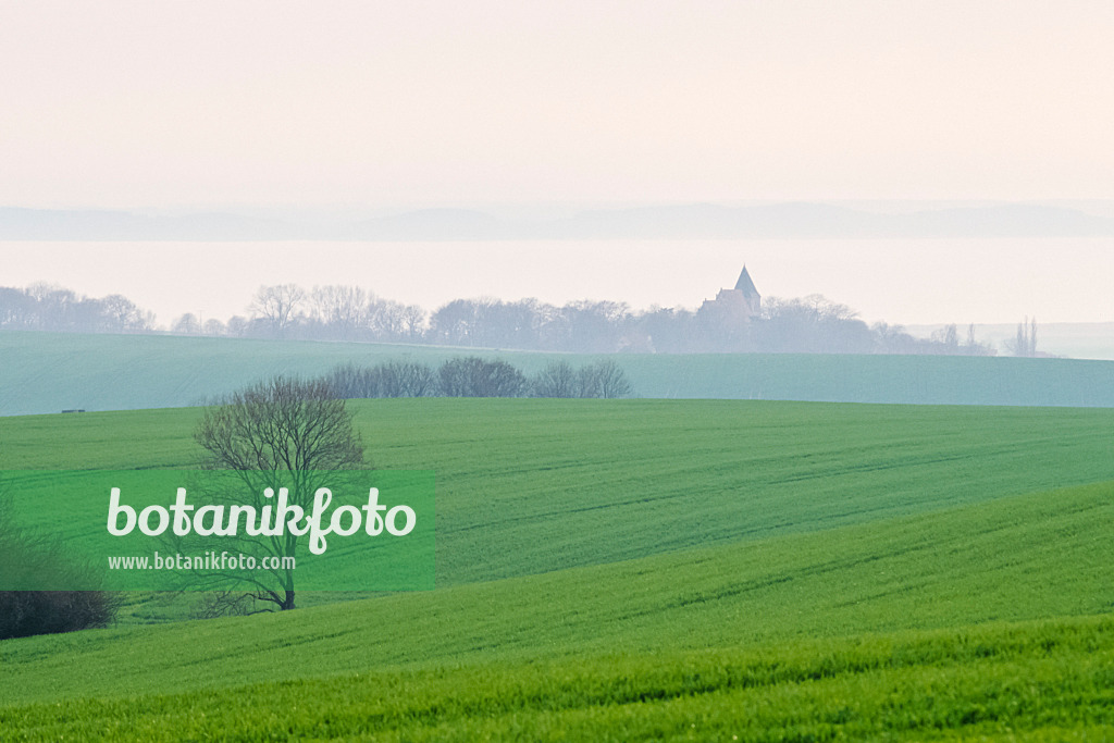 377042 - Jasmund, Rügen, Deutschland