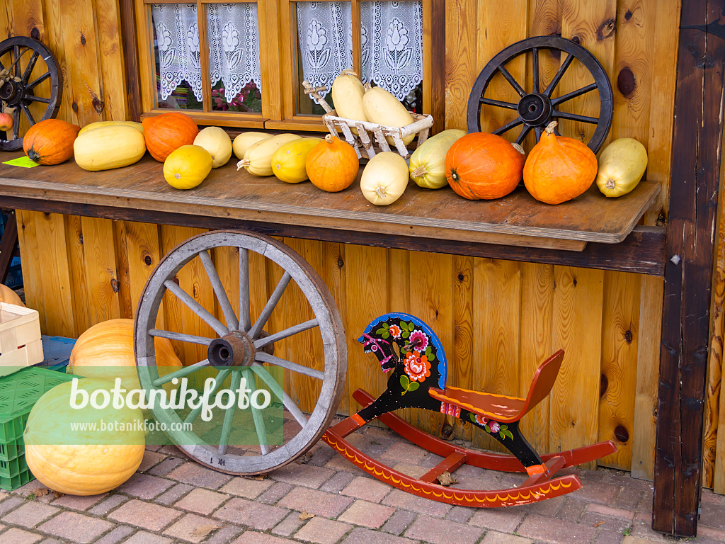 525187 - Kürbis (Cucurbita) mit Wagenrädern und Schaukelpferd