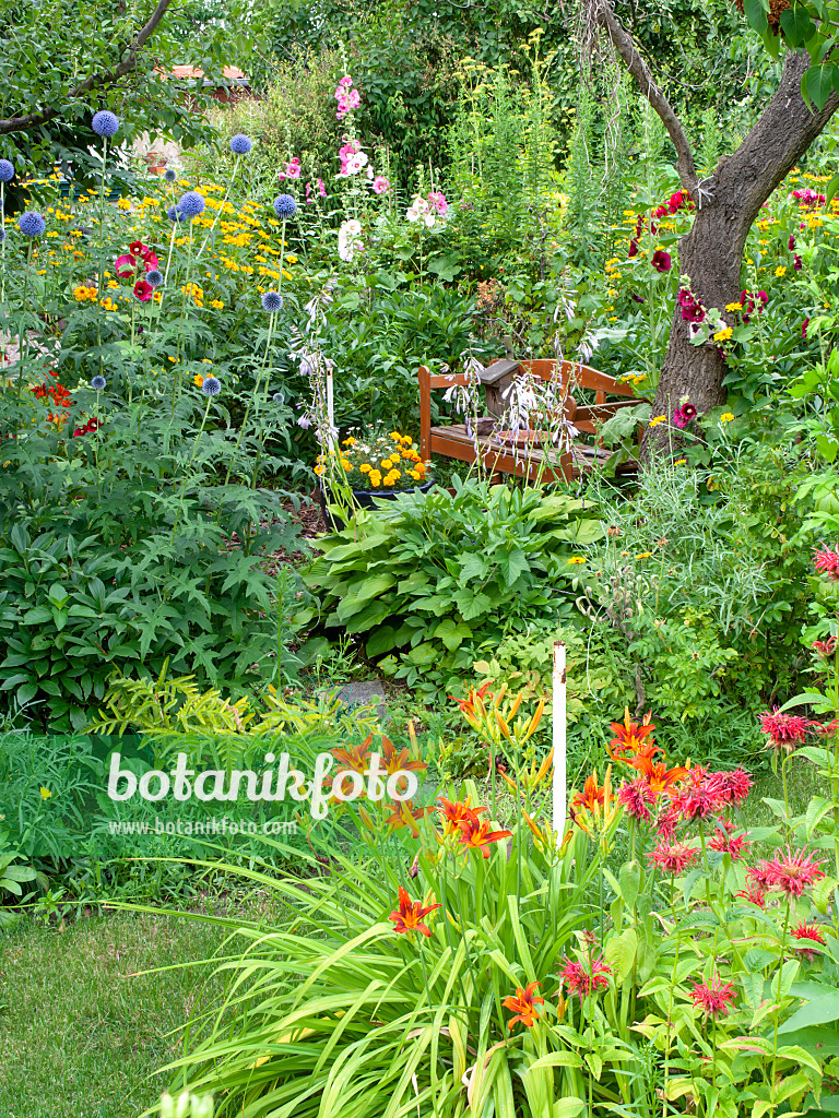 486250 - Kugeldisteln (Echinops), Taglilien (Hemerocallis), Stockrosen (Alcea) und Indianernesseln (Monarda)