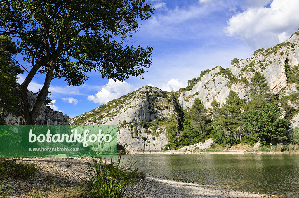 557123 - Lac de Peiroou, Alpilles, Provence, Frankreich